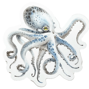 octopus